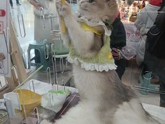 -万达广场(太原街店)