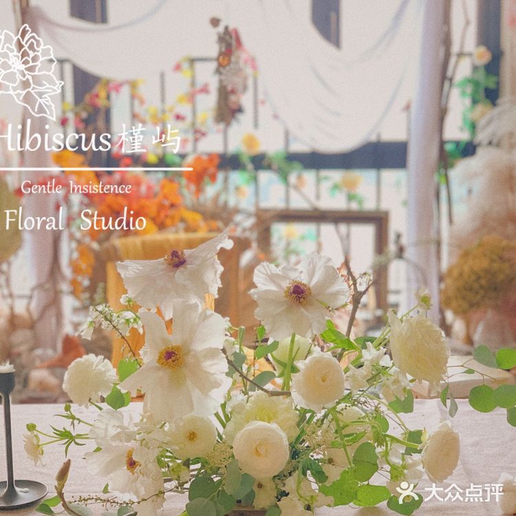 单瓣牡丹开花啦～