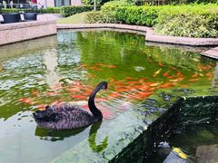 -南京圣和府邸豪华精选酒店