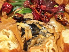 段氏绝味鱼头-柿合缘新京菜(国金中心商场店)