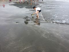 -台山黑沙湾海浴场