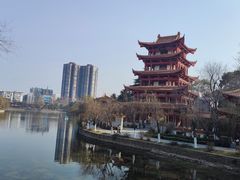 -沙市市中山公园
