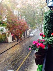 Mirror Salon-3AM HAIR SALON烫发染发接发