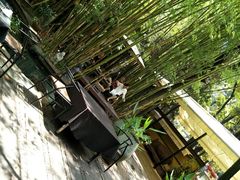 -新竹里馆·花园餐厅(兴苑路店)