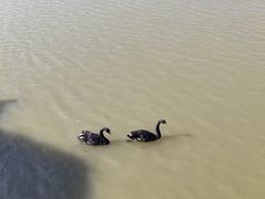 -艾溪湖湿地公园