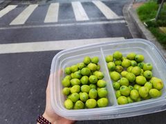 新鲜莲子-解香楼(八盘岭路店)