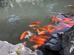 -豫园