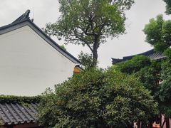 -寒山寺
