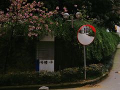 -湖北省美术院美术馆