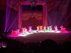 -珠海横琴长隆《卡卡虎奇遇记》