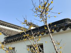 -枫桥景区