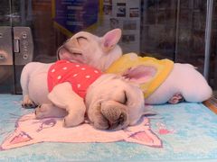 -魔方cube剧情密室逃脱(海岸城店)