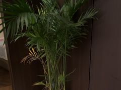 -小仙女采耳·按摩·SPA(深圳旗舰店)