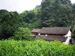-龙井村