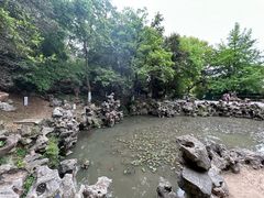 -伯先公园