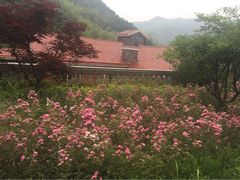 梦娜斯庄园-梦娜斯庄园