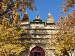 -北京石刻艺术博物馆(五塔寺)