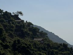 -三亚亚龙湾人间天堂鸟巢度假村