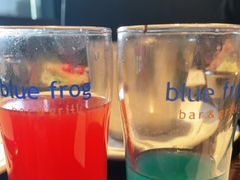 -bluefrog蓝蛙(恒隆广场店)