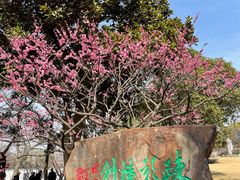 -无锡梅园公园