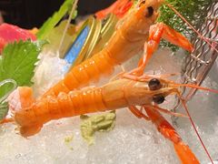 -上井料理黑金店(IFS国金中心店)