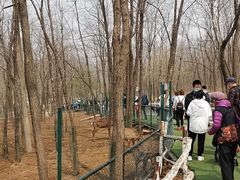 -大连铭湖国际观光牧场