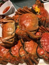 -上海浦东喜来登由由大酒店·宴会厅