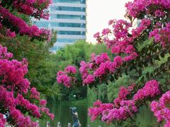 -杭州城北体育公园