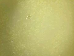 -卫鼎轩·家宴(水上公园店)