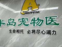 -半岛宠物医院24小时(白果林店)