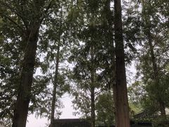 -第一山景区