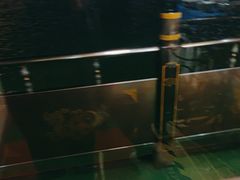 -重庆两江夜游-金碧系列
