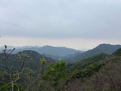 -大岭沟猕猴桃谷风景区