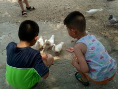 -石燕湖生态旅游景区