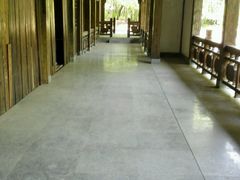 android_upload_pic-沈阳植物园