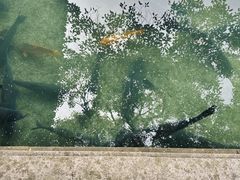 -杭州植物园