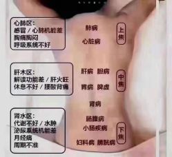 -香薇妮丝女子减肥院