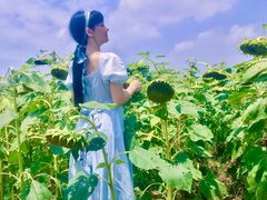 -光明小镇欢乐田园
