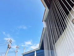 -武汉知音号