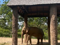 -清迈夜间动物园