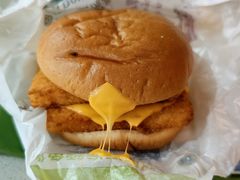 -麦当劳(桃仙机场到达层店)