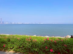 -深圳湾公园(南山区)