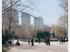 -长白岛森林公园