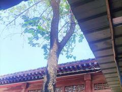 -石锅坛肉(广场店)