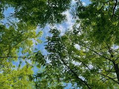 -浙江农林大学(东湖校区)