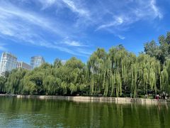 -团结湖公园