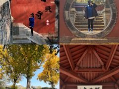 -泰山风景名胜区-普照寺