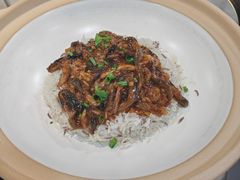 砂锅黄鳝丝啫有机米饭-明本湛江鸡•海鲜小厨(陈家祠店)