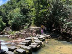 -广州白江湖森林公园