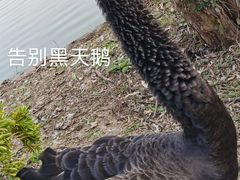 -上海野生动物园